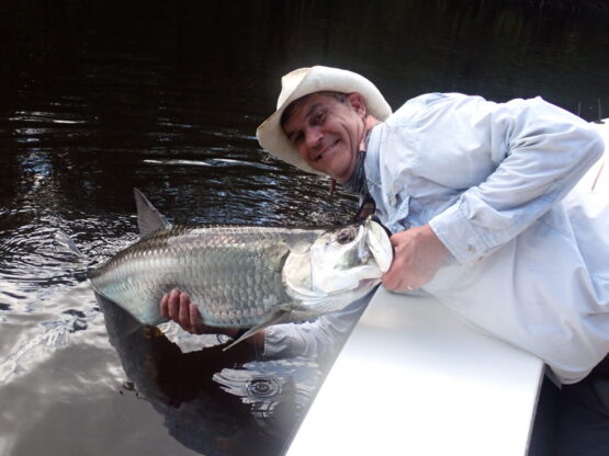 Tarpon Fishing in the Beautiful Everglades Waters Tarpon Fishing in the Beautiful Everglades Waters
